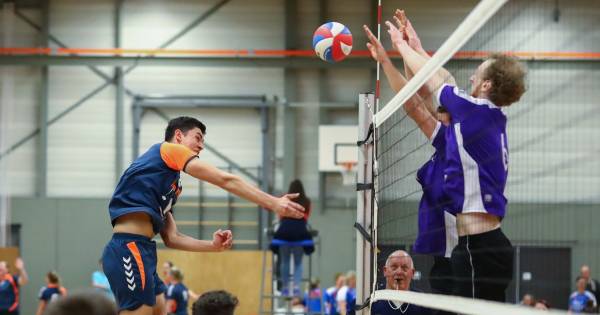Volleyballers Bovo naar eerste divisie