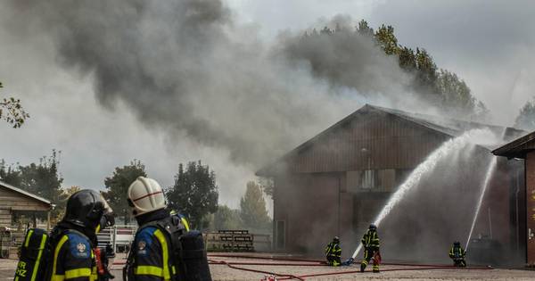 Asbestresten verspreid over flink stuk land na brand Strijensas - AD.nl