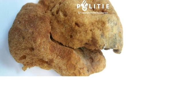 Gebakken spons in tuinen hondenbezitters Lobith - De Gelderlander