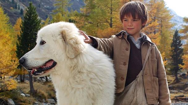 Zappbios: Belle en Sebastiaan