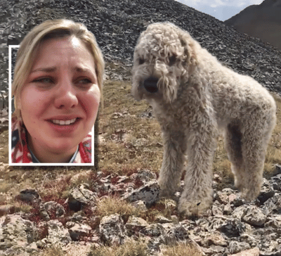 Amerikaanse vindt drie weken na zware crash haar hond terug op bergtop