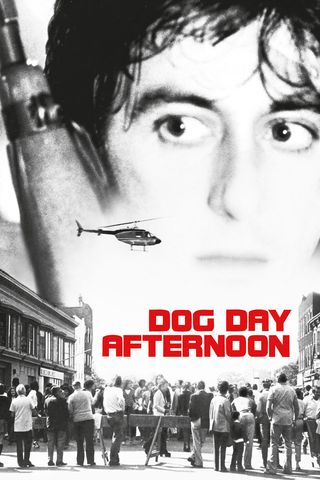 Dog Day Afternoon