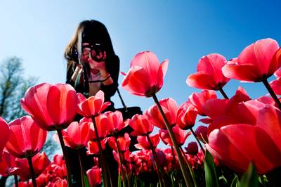 Zonnig weekend voor de boeg