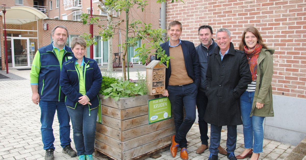 Lekkere Verse Kruiden Dankzij De Plantenbak Van Aveve Plus Landen