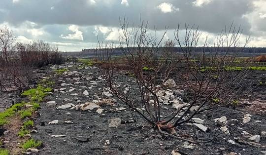 Tussen de verschroeide aarde verschijnt plots een 6 kilometer lange steenweg uit de tijd van Karel de Grote