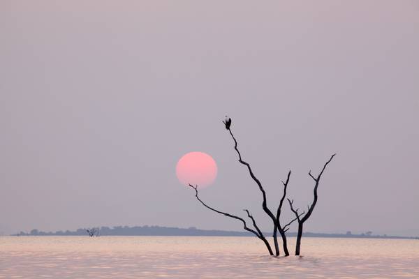 Earth's great rivers
