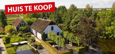 Nico 75 Hoeft Door Eigen Moestuin Niet Naar De Supermarkt Ik Heb Ook Een Bananenboom Instagram Groene Hart Ad Nl