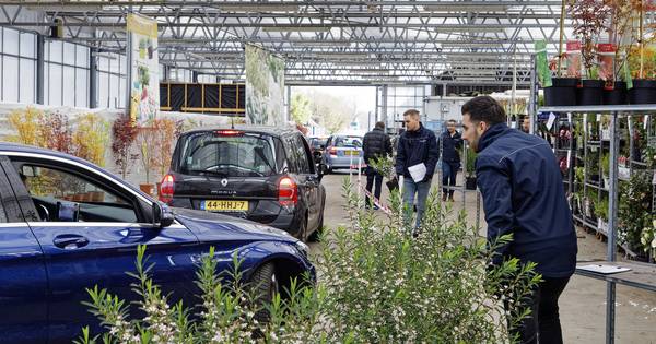 Raampje open, plantje kopen: drive-ins uitkomst voor kwekers en tuinders - BD.nl