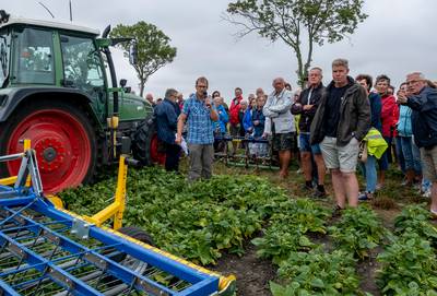 Den Boer uit Kerkwerve is in 2022 helemaal biologisch: ‘De bodem ging zichtbaar achteruit door het s