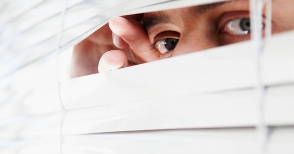 Echtpaar in Den Ham dat 4 meter hoog scherm plaatste tegen glurende buren vangt bot - Tubantia