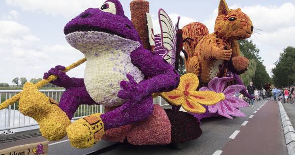 Rekken last het bloemencorso nog niet af | Video Achterhoek - Tubantia