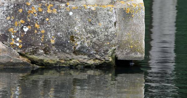 Droogte op Twickel: pompen om te overleven