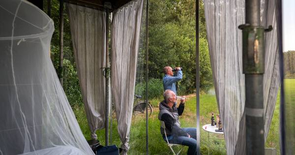 Onder de Liempdse sterren in een glazen box