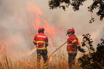 Bosbranden in de Algarve blijven woeden: 29 gewonden en meer dan 16.500 hectare verwoest
