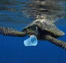 De hoeveelheid plastic in zee is sinds 2000 aanzienlijk toegenomen; het meeste is afkomstig van visserij