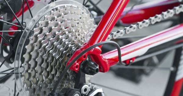 Wielrenner in ziekenhuis overleden aan verwondingen opgelopen bij ongeluk op dijk bij Tricht.