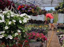 Gouden tip: let híerop als je plantjes koopt bij een tuincentrum
