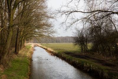 Landkunst bij Kleine Beerze: vijf objecten in beekdal tussen Vessem en Middelbeers