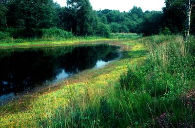 Noordijkerveld en Teeselinkven groter