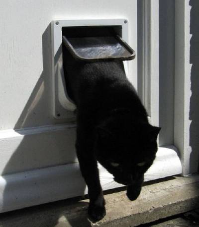 Britse kattenslachter slaat weer toe na arrestatie 'verkeerde'