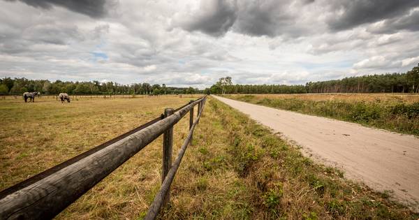 Het Postelkanaal in Reusel kwam er nooit | Kempen | ed.nl - Eindhovens Dagblad