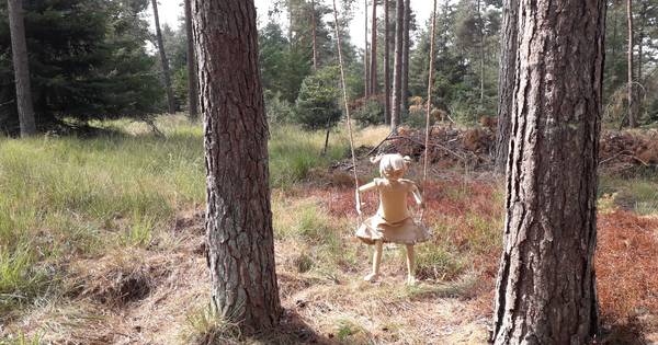 Tentoonstelling natuurbegraafplaats Esbeek: hitte herschept 'Huizen van de ziel'