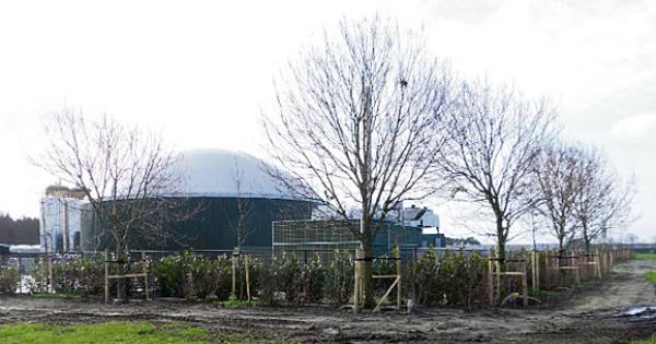 Failliet: BioMoer loopt kapot op verzet tegen uitbreiding