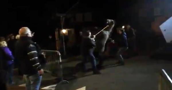 Dierenleed achtervolgt top-editie paardenmarkt Hedel