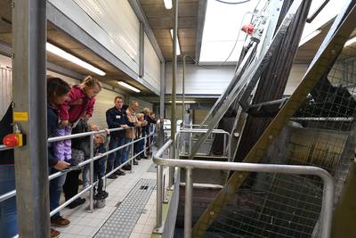 19 miljoen voor zonneweides op waterzuiveringen in Oost-Brabant