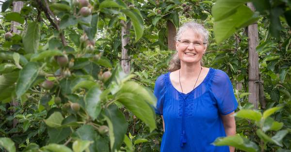 Fruitteler uit Zevenbergschen Hoek ontwikkelt PlukGoed: 'De lekkerste appels ...