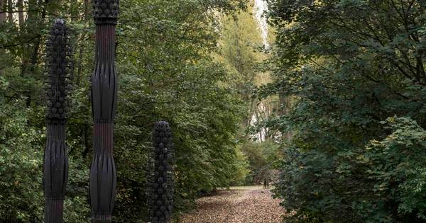 Kunstbos Axel voelt gedateerd aan | Zeeuws-Vlaanderen - PZC