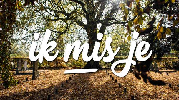 Ik mis je