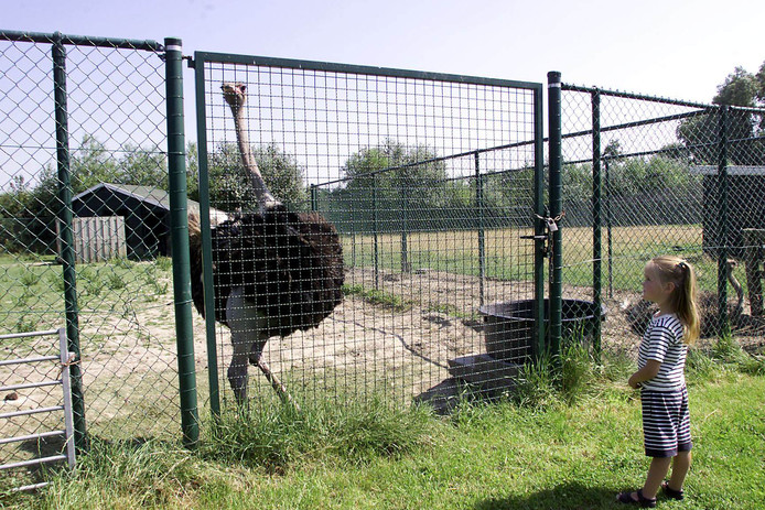 Kleine dierentuinen Nederland - Reisliefde