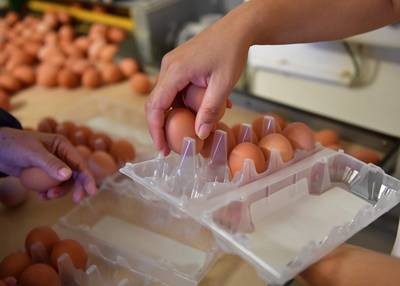 Nieuwe codes van besmette eieren op lijst NVWA