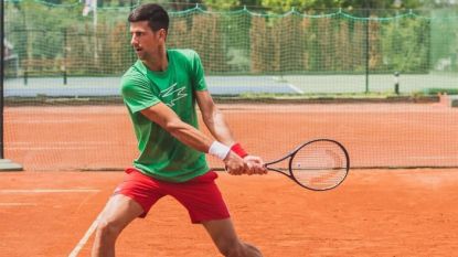 Djokovic spreekt van ‘heksenjacht’ na de coronaheisa: “Alsof er iemand moet vallen. En liefst een grote naam”