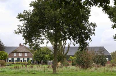 Omstreden varkensbaron zet potentiële megastal Mariënheem te koop
