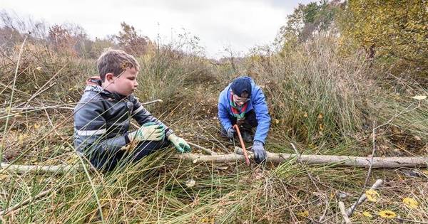 Natuurorganisaties werken samen in Dinkelland | Dinkelland - Tubantia