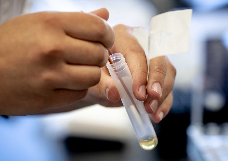 Materiaal om te testen op infectieziekten in het laboratorium van Microvida in het Bravis ziekenhuis. In het laboratorium wordt getest op het coronavirus. Beeld ANP
