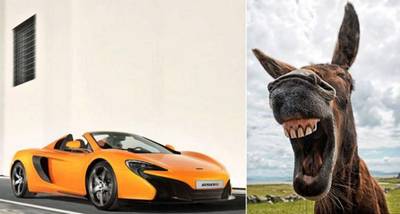 Ezel ziet oranje sportwagen aan voor wortel: duizenden euro schade