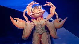 King Krab zingt met gebroken hart Too Good at Goodbyes