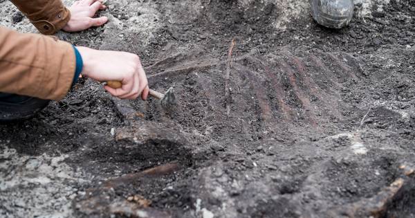 Archeologen gaan opgewonden naar Heeten | Salland - De Stentor