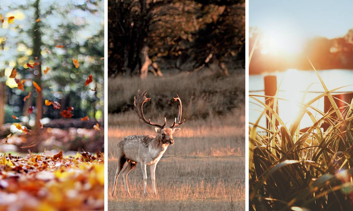 15x heerlijk eropuit deze herfst