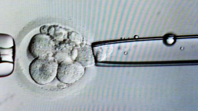 Grootste Ivf Kliniek In De Haagse Regio Den Haag Ad Nl