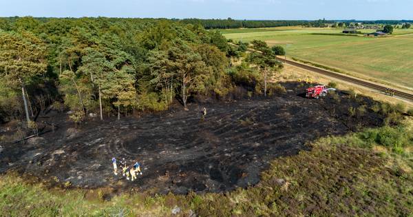 Brandweer blust na in Beerze; melding nieuwe rookpluimen in bos