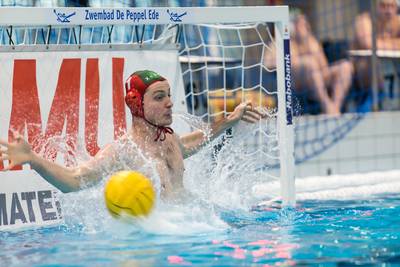 Polar Bears in thriller voorbij GZC Donk