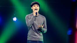 Is Ricardo made for the voice?