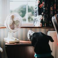 6 tips om je huis koel te houden als ’t buiten snikheet is