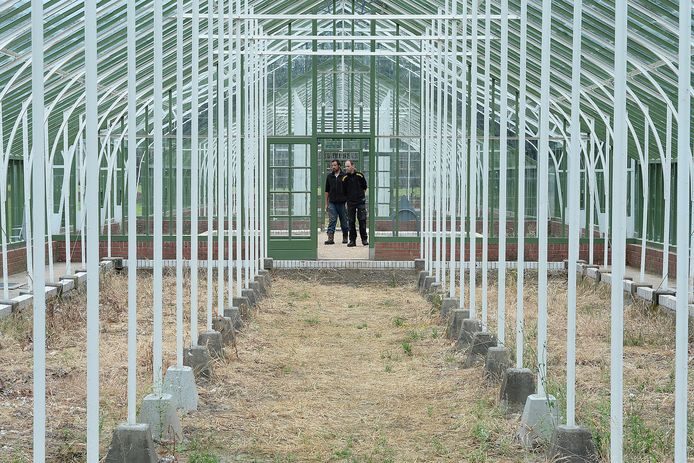 Slot Mookerheide High Tea