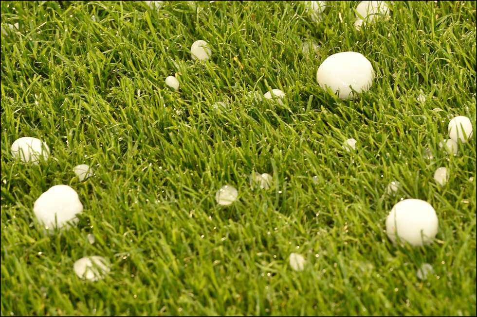 980?appId=8ef24fa41e4bddfa7db0f5082d5ff1