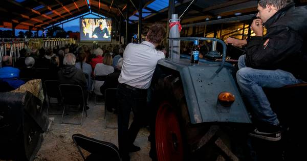 Tussen de koeien film kijken in Vlierden